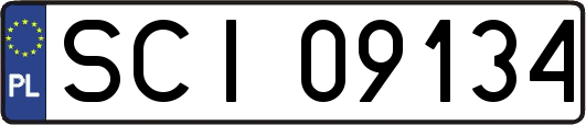 SCI09134