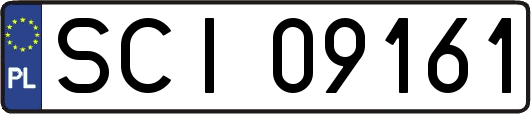 SCI09161