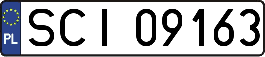 SCI09163