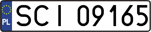 SCI09165