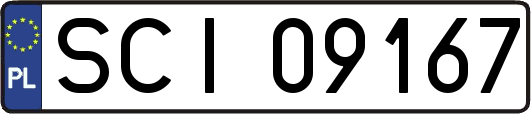 SCI09167