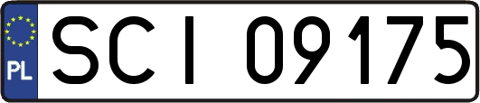 SCI09175