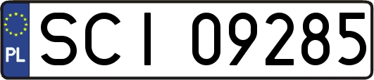 SCI09285