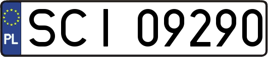 SCI09290