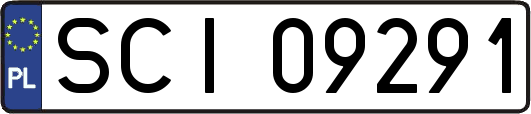 SCI09291