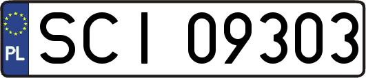 SCI09303
