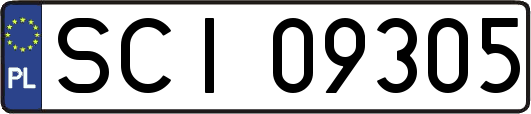 SCI09305
