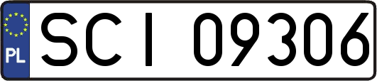 SCI09306