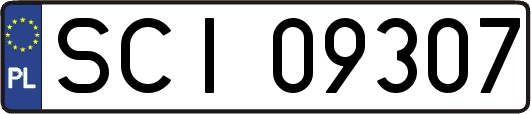 SCI09307
