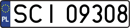 SCI09308