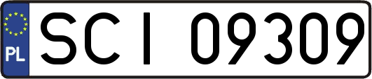 SCI09309