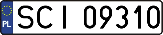 SCI09310