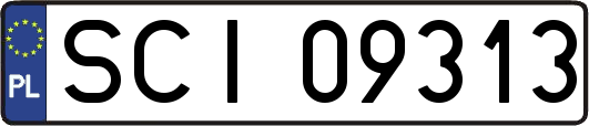 SCI09313