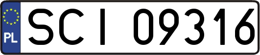 SCI09316