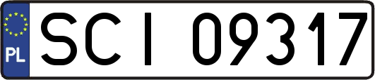 SCI09317