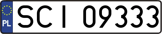 SCI09333