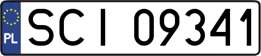 SCI09341