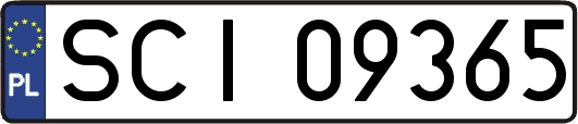 SCI09365