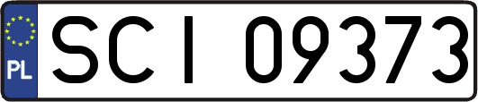 SCI09373