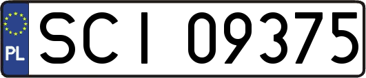 SCI09375