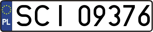 SCI09376