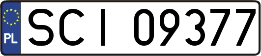 SCI09377