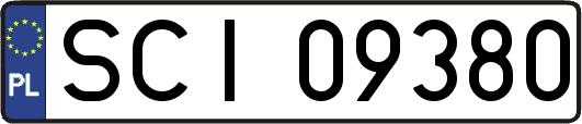 SCI09380