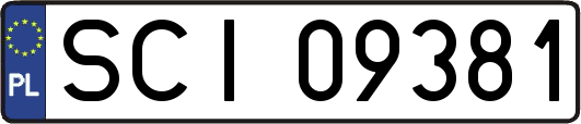 SCI09381