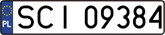 SCI09384