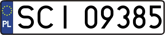 SCI09385