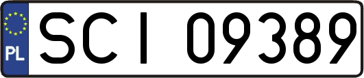 SCI09389