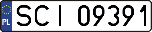 SCI09391