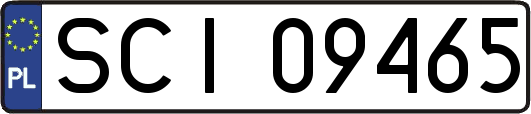 SCI09465