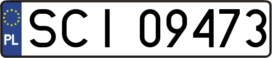 SCI09473