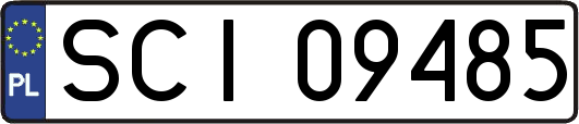 SCI09485