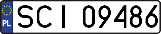 SCI09486