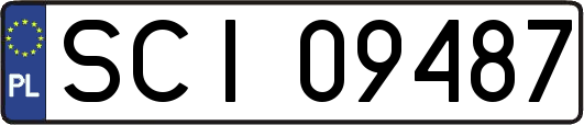 SCI09487