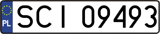 SCI09493