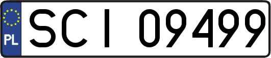 SCI09499