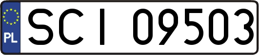 SCI09503