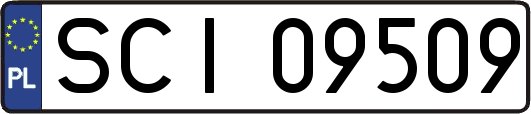SCI09509