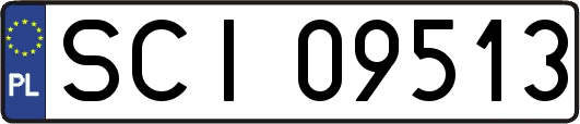 SCI09513