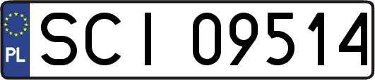 SCI09514