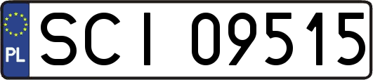 SCI09515