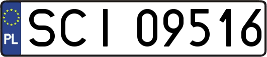 SCI09516