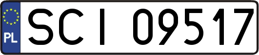 SCI09517