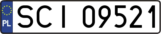SCI09521