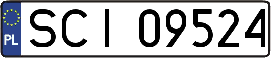 SCI09524