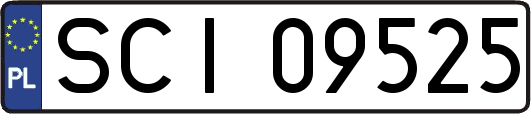 SCI09525
