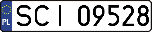 SCI09528